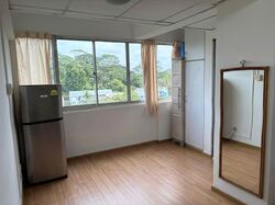 Pandan Valley (D21), Condominium #569123421